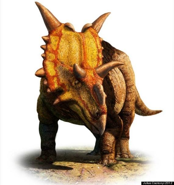 Xenoceratops