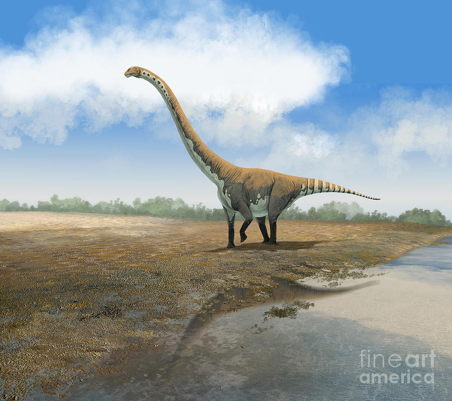 Euhelopus
(Эухелоп), Cretaceous
(Меловой период)