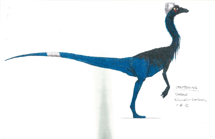 Ornithomimus
(Орнитомим), Cretaceous
(Меловой период)