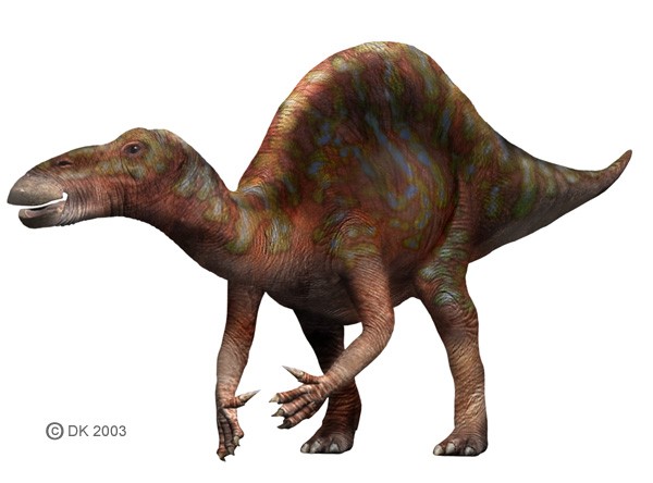 ouranosaurus