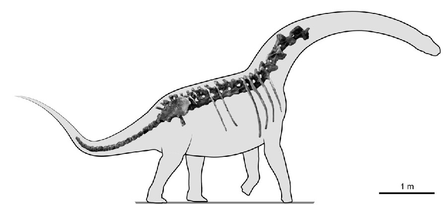 Overosaurus