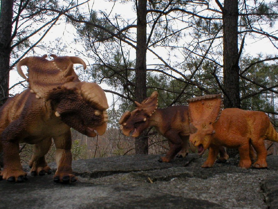 Vagaceratops