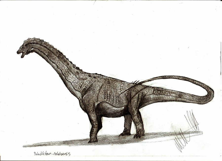 Paludititan
(Палудититан), Cretaceous
(Меловой период)