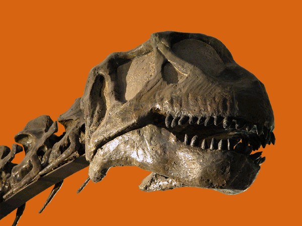 Patagosaurus
(Патагозавр), Jurassic
(Юрский период)