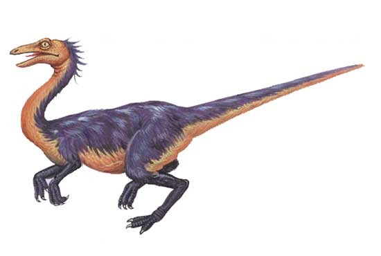 Sinornithosaurus