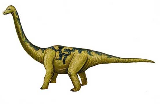 Sonorasaurus