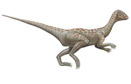 Lanasaurus