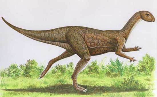 Zephyrosaurus