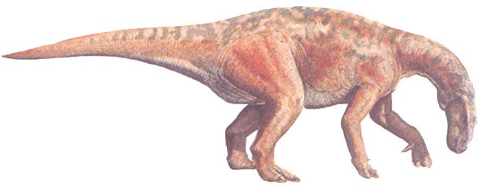 Probactrosaurus