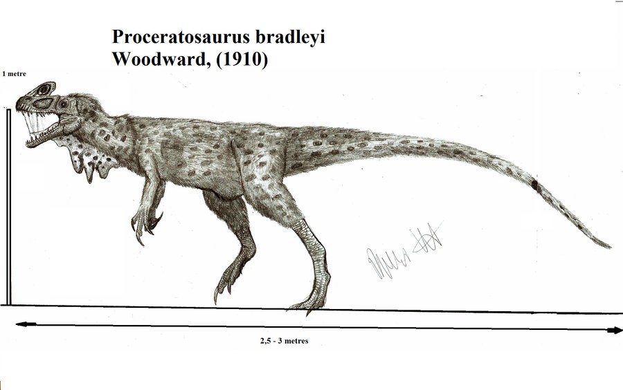 proceratosaurus_bradleyi_by_teratophoneus-d54jfz0_0995.jpg