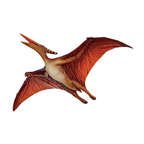 Pteranodon Pictures Facts The Dinosaur Database