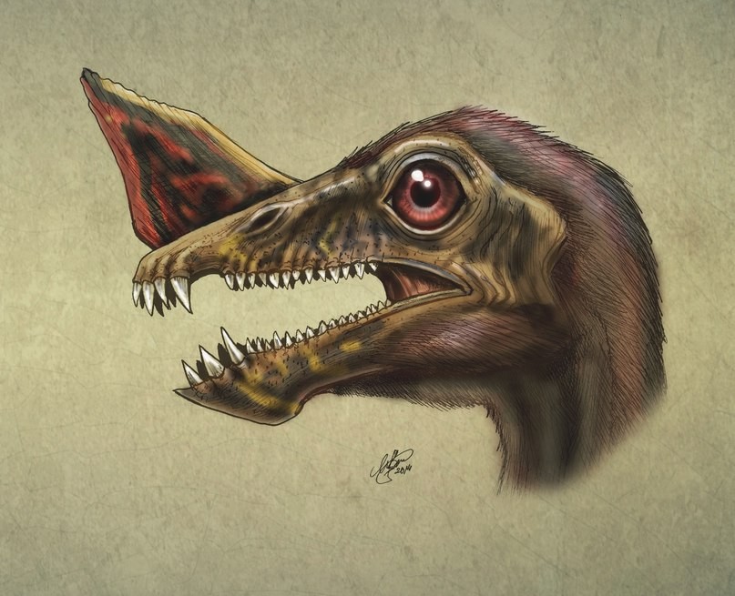 Raeticodactylus