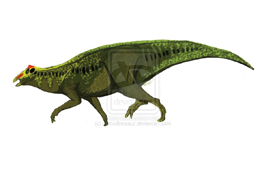 Ratchasimasaurus
