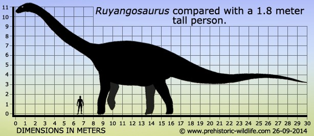 Ruyangosaurus