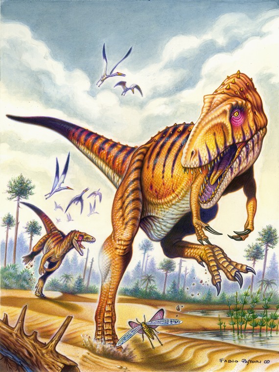 Saltriosaurus, Jurassic
(Юрский период)