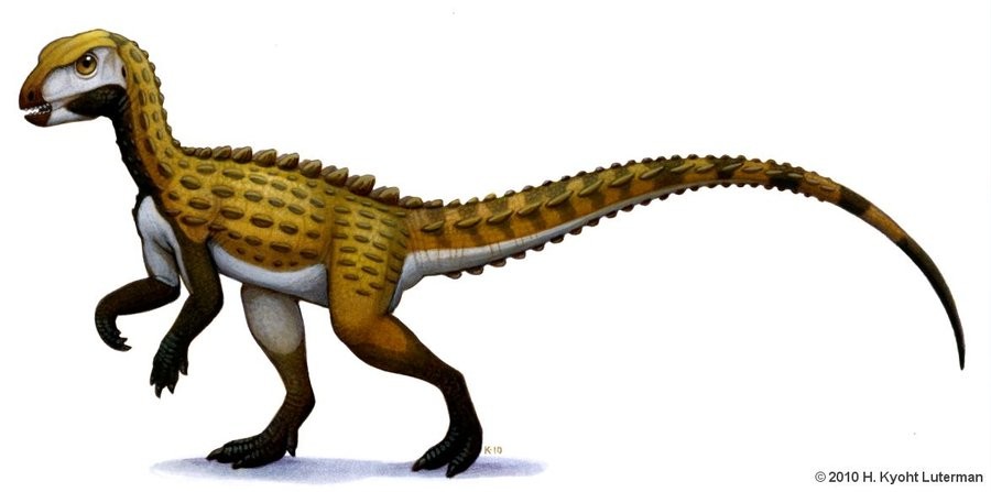 Scutellosaurus
(Скутеллозавр), Jurassic
(Юрский период)