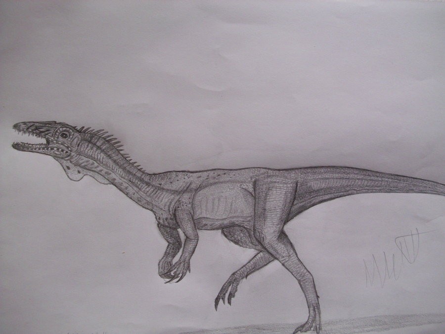 Segisaurus