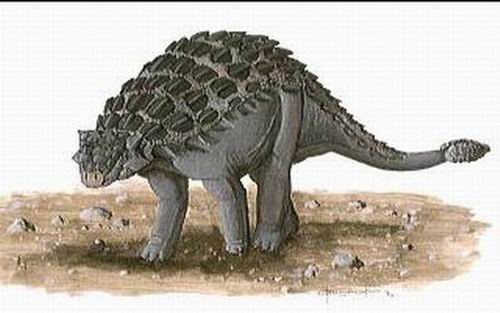 Shamosaurus
(Шамозавр), Cretaceous
(Меловой период)