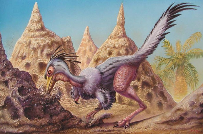 Shuvuuia
(Шувуйя), Cretaceous
(Меловой период)