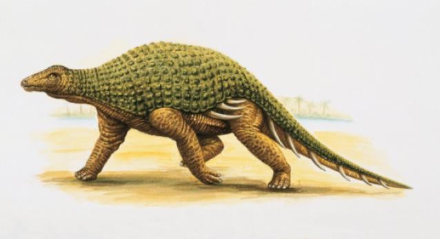 Silvisaurus, Cretaceous
(Меловой период)