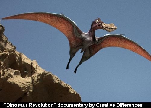 File:Pterodactyloidea indet Solnhofen.jpg - Wikimedia Commons