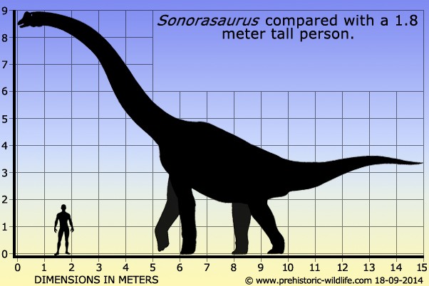 sordes dinosaur