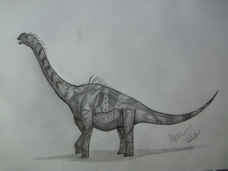 Sonorasaurus