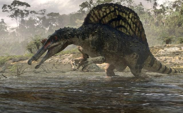 fat spinosaurus