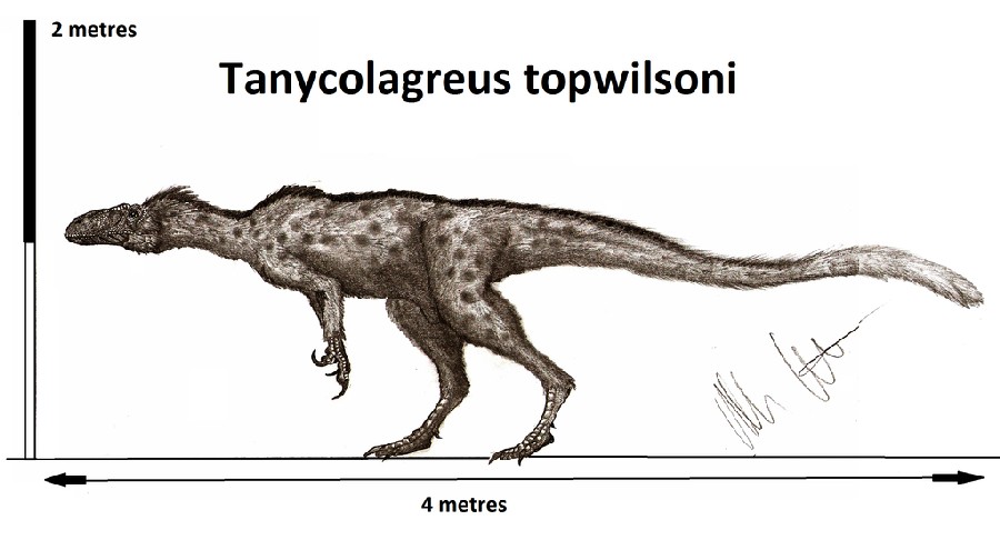 Tanycolagreus