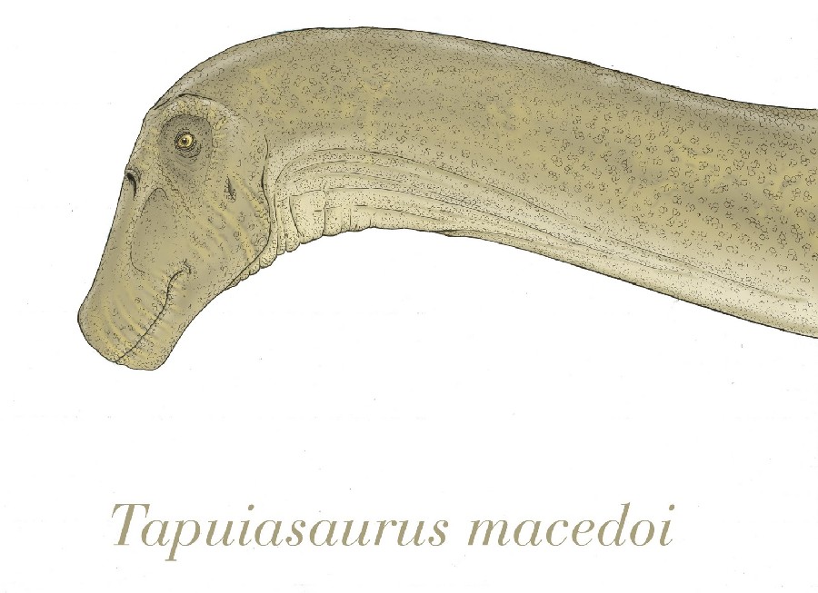 Tapuiasaurus