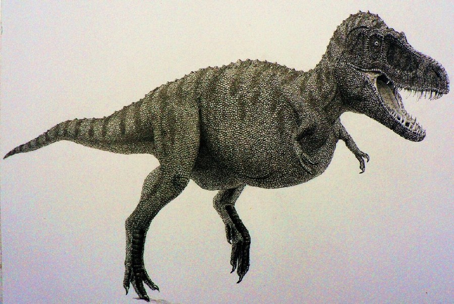 Tarbosaurus
