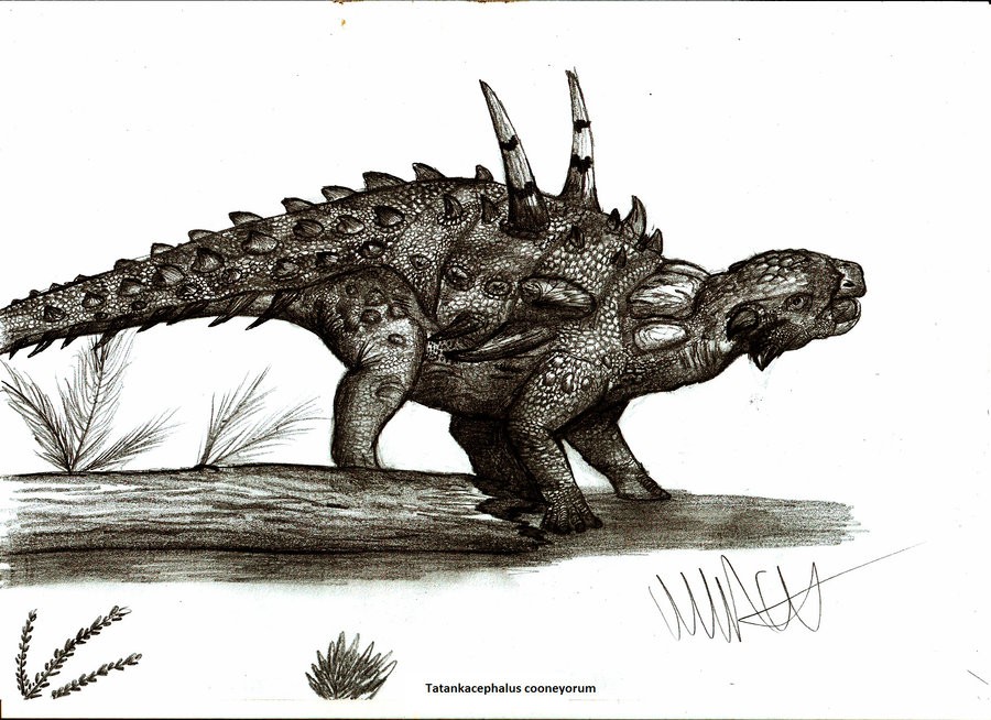 Tatankacephalus, Cretaceous
(Меловой период)
