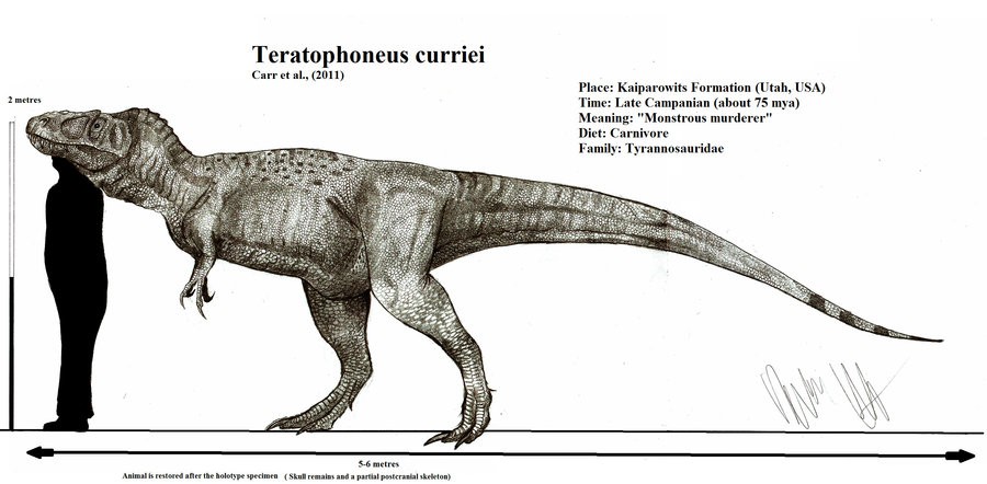 Teratophoneus