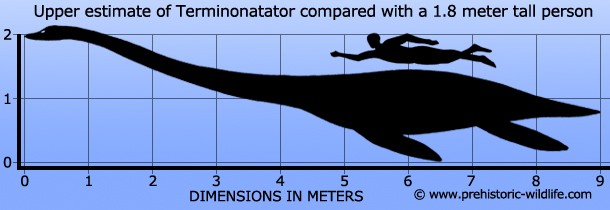 Terminonatator, Late Cretaceous
(Верхний мел)