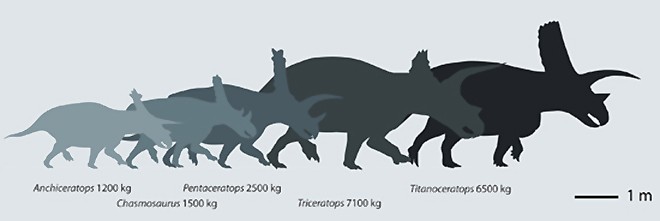 Titanoceratops