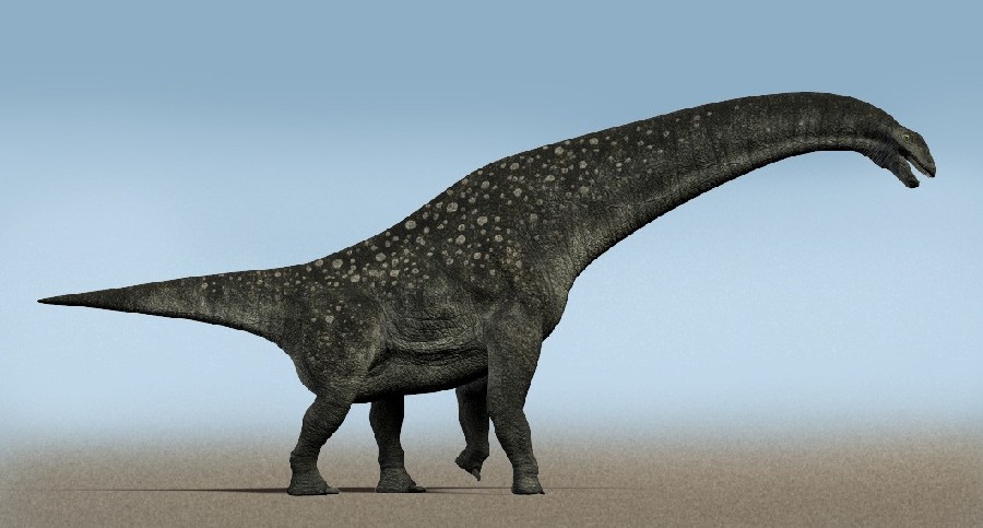 titanosaurus dinosaur