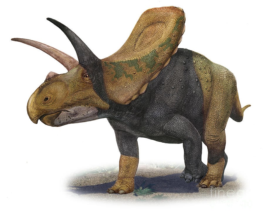 torosaurus-latus-a-prehistoric-era-sergey-krasovskiy_1aa6.jpg