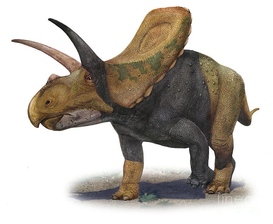 torossauro triceratops