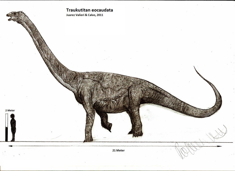 Traukutitan, Cretaceous
(Меловой период)