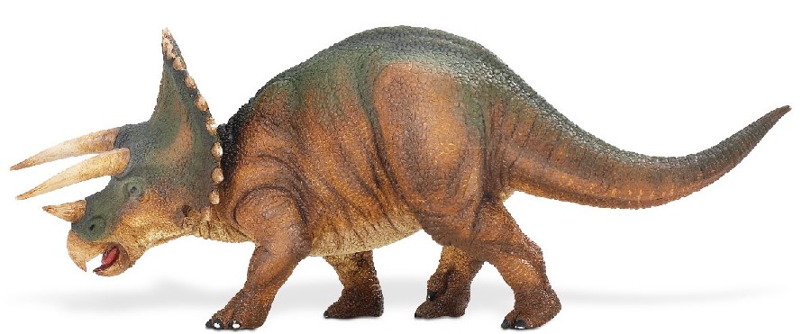 triceratops pictures  facts  the dinosaur database