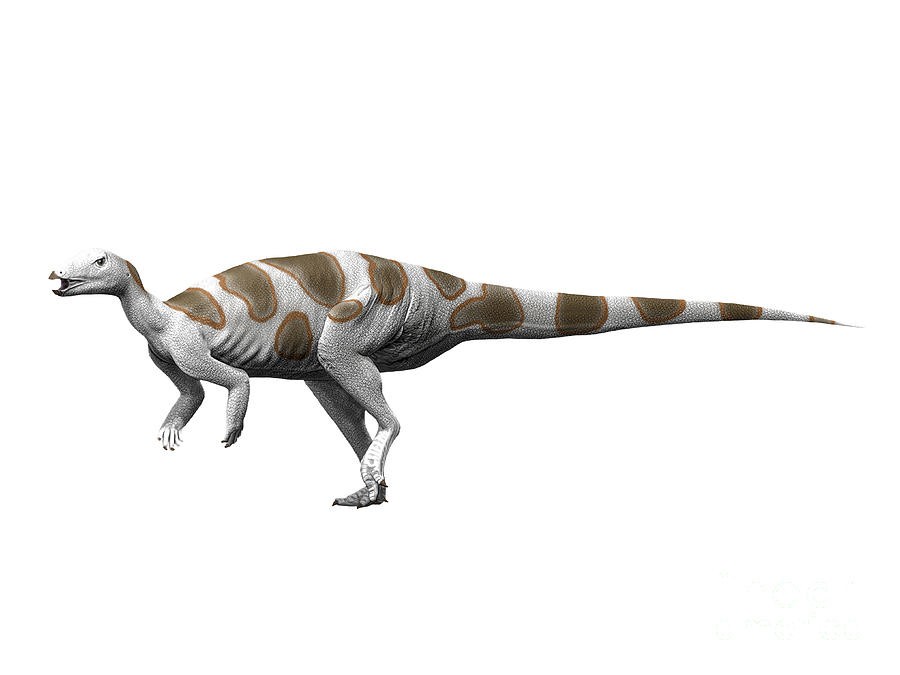 Trinisaura