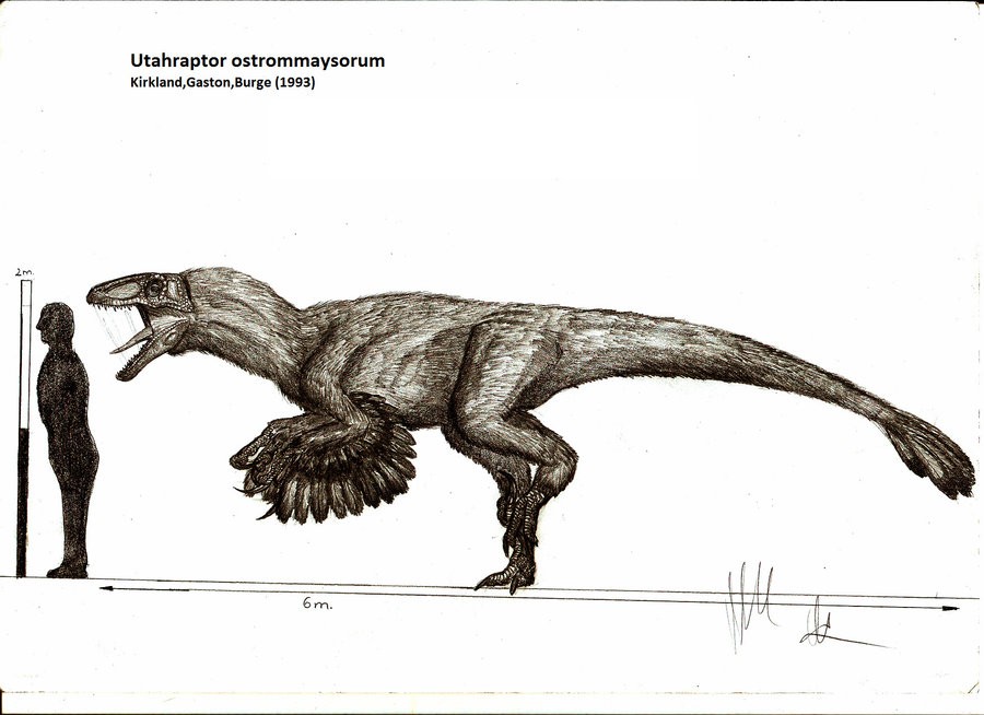 Dinosaurs Utahraptor