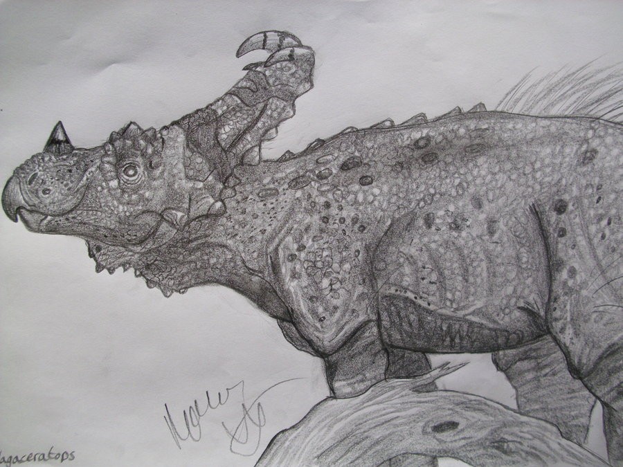 Vagaceratops
