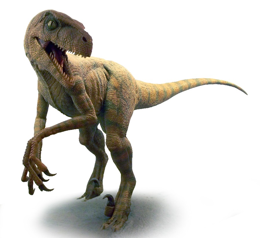 velociraptor jp 3