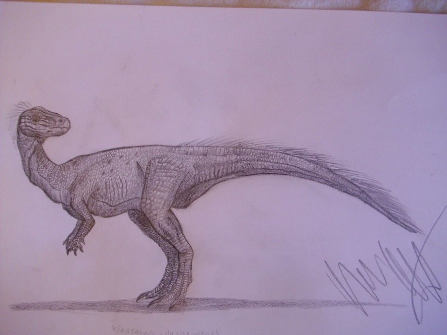 Xiaosaurus, Jurassic
(Юрский период)