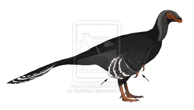 Yixianosaurus