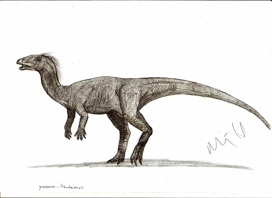 Yueosaurus, Cretaceous
(Меловой период)