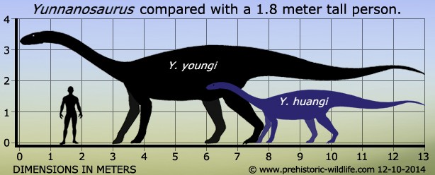 Yunnanosaurus