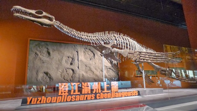 Yuzhoupliosaurus