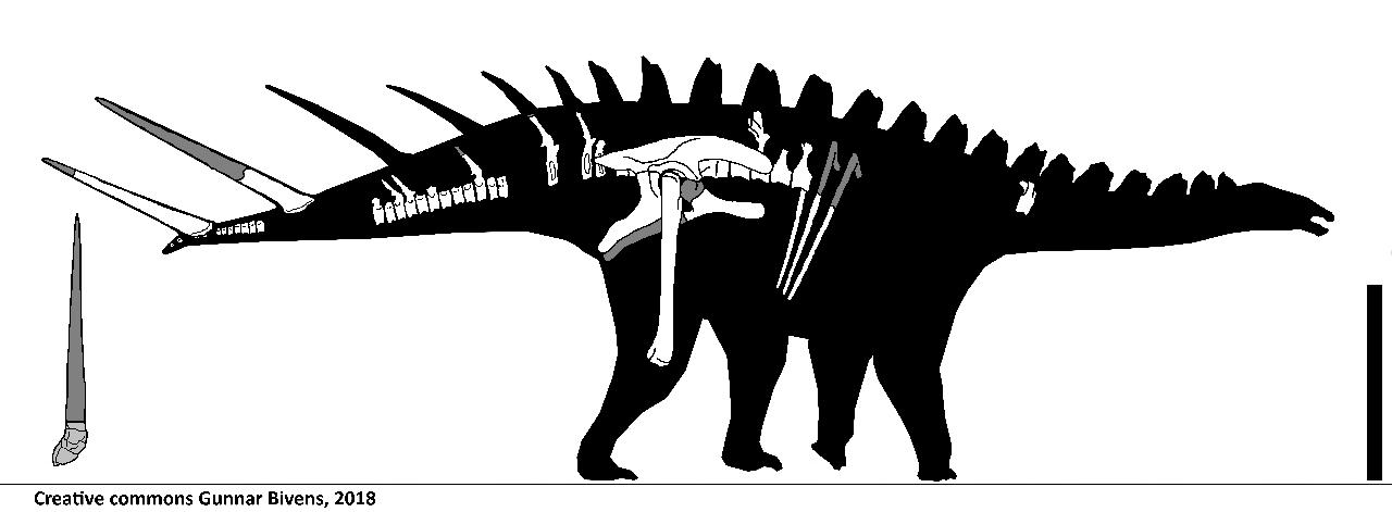 Alcovasaurus